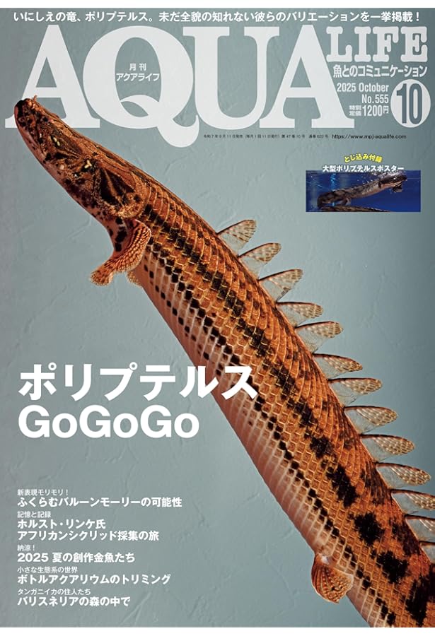 ザ・ポリプテルス: 恐竜魚の飼育と楽しみ方 (アクアリウム・シリーズ